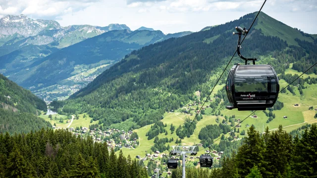 Kenopassport24 09982