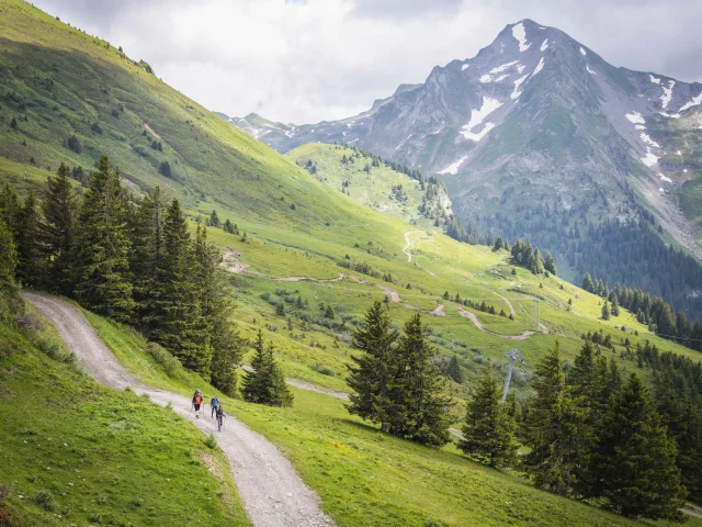 Pp Pedestre Denis Angheben Portesdusoleil 4