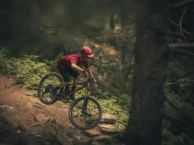 01j6ym60v2e5sx3a1vmavgs2ra S0a8799 Copia