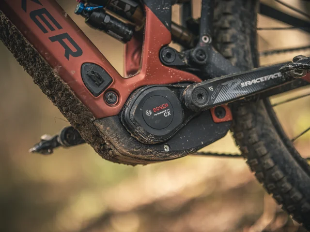 01ja5p83kh9jdavh1m090mwrzx S0a9449 Copia